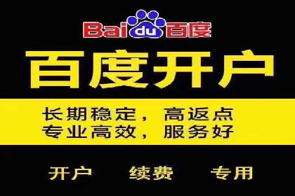 百度竞价赚钱攻略：实战案例分享